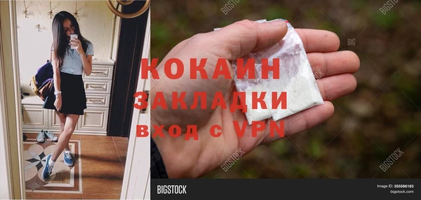 прущие грибы Аркадак