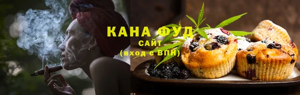 молекула духа Арсеньев
