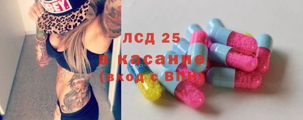 прущие грибы Аркадак