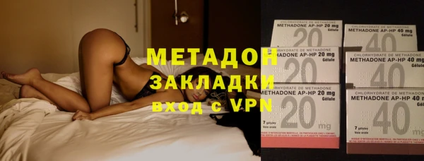 прущие грибы Аркадак