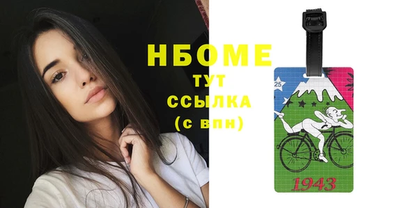 прущие грибы Аркадак
