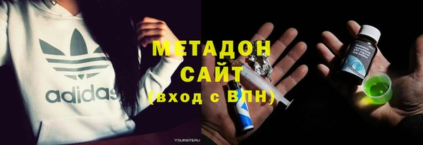 прущие грибы Аркадак