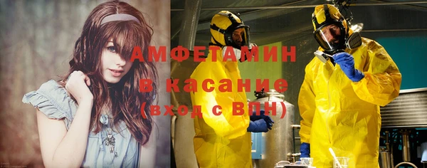 молекула духа Арсеньев