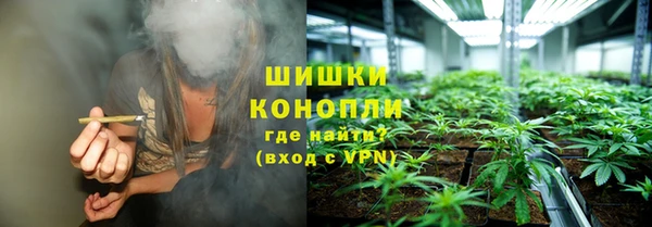 прущие грибы Аркадак