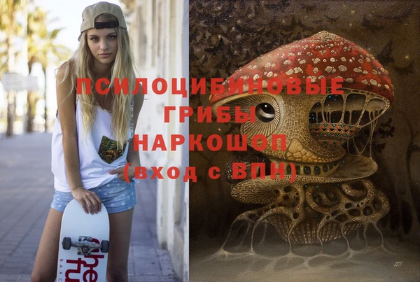 молекула духа Арсеньев