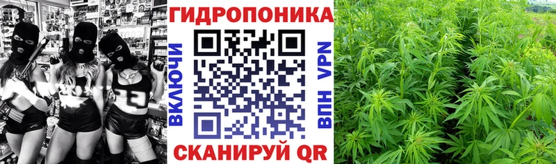 Канабис индика  Купить  Иланский 